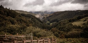 Woodlan projects receive cash boost