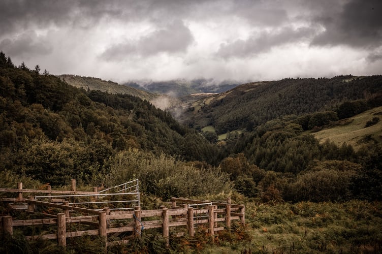 Coetir Anian near Machynlleth