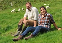 Eryri sheep farmers put focus on genetics to develop well-adapted flock