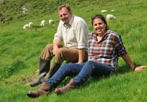 Sheep farmers put focus on genetics to develop well-adapted flock