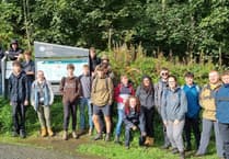 Gwynedd students learn about woodland impact