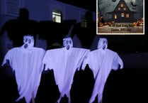 Llanon resident plans spooktacular display to raise funds for village
