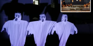 Llanon resident plans spooktacular display to raise funds for village