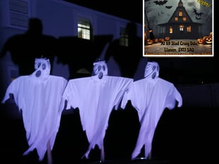 Llanon resident plans spooktacular display to raise funds for village