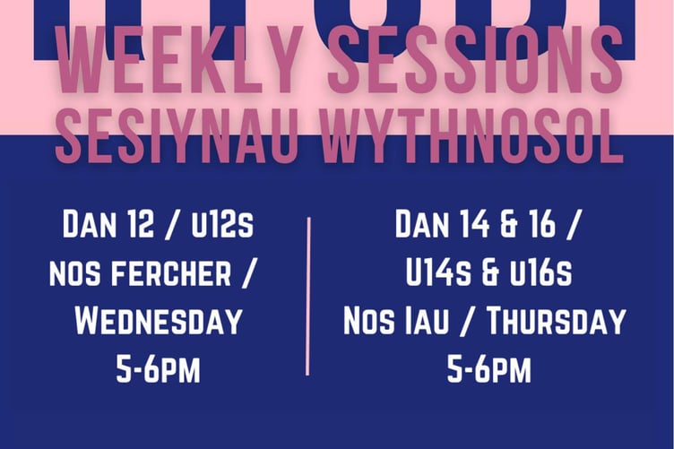 Bae Ceredigion Dolphins training sessions