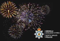 ‘Take interest in kids' plans’ ahead of Bonfire Night and Halloween