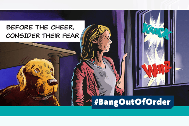 MS backs RSPCA's call for ‘considerate approach’ to fireworks season