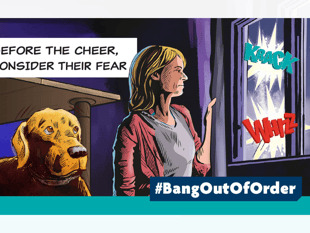 MS backs RSPCA's call for ‘considerate approach’ to fireworks season