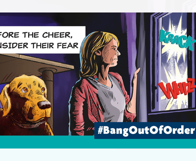 MS backs RSPCA's call for ‘considerate approach’ to fireworks season