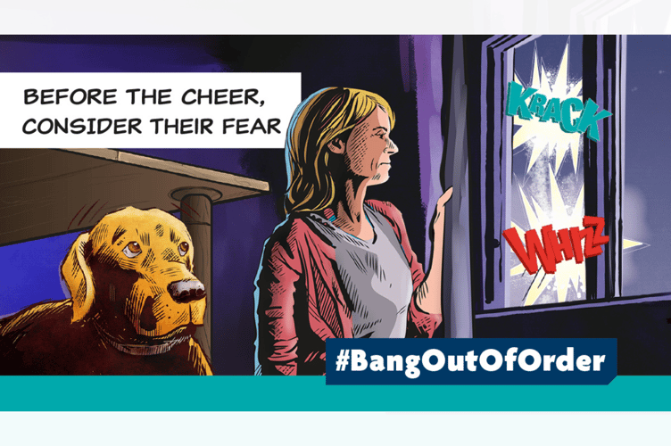 The RSPCA has launched its #BangOutOfOrder campaign with a series of cartoons
