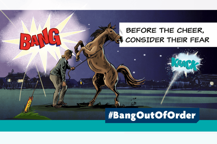The RSPCA has launched its #BangOutOfOrder campaign with a series of cartoons