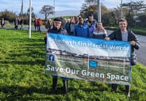 Democracy at its best: Village green campaigners welcome council vote