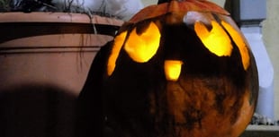 'It’s scary how much pumpkin ends up in the bin each year'