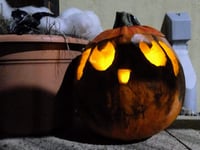 'It’s scary how much pumpkin ends up in the bin each year'