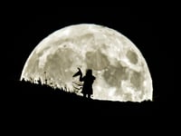More witches living in Ceredigion and Gwynedd