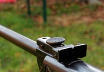 Man shot dog with air rifle