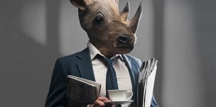 Absurdist masterpiece comes to the Mwldan stage