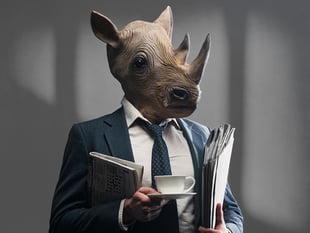 Absurdist masterpiece comes to the Mwldan stage