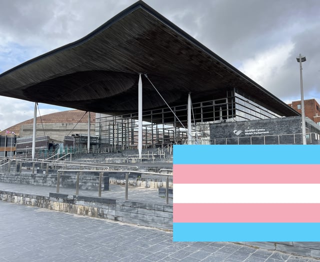 Transgender women could stand as women in future Senedd elections 