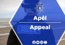 Pwllheli police launch investigation after vehicles damaged in Pwllheli