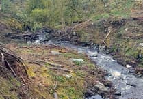 Natural Resources Wales moves to allay concerns over tree felling at Hafod Estate