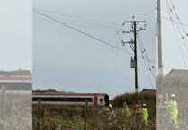 Fallen power line causes train delays