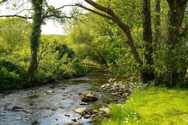 tynant brook
