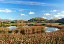 Red kites, robins and autumn days in readers' fantastic photos