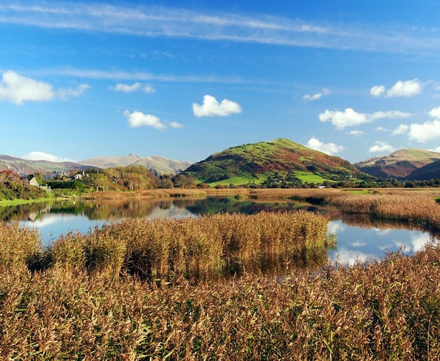 Red kites, robins and autumn days in readers' fantastic photos