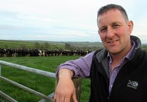 Business bootcamp to focus on dairy farming