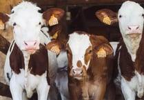 Farm feed workers secure up to 20% pay rise