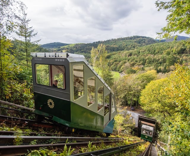 Calls to break 'bureaucratic logjam' to safeguard CAT future