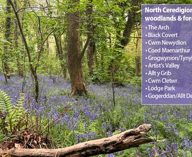 More woods join National Forest