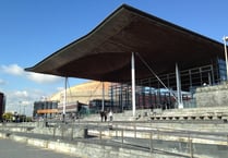 Patient safety concerns raised at the Senedd