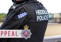 Witness appeal following fatal collision on rural road