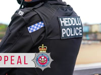 Armed police respond to reports of man carrying knife in Aberaeron