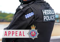 Witness appeal following fatal collision on rural road