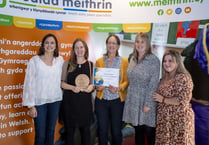 Ceredigion nurseries on top at Mudiad Meithrin Awards