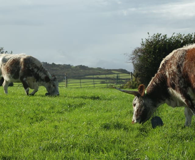 Grazing expert to address NFU Cymru Ceredigion County Conference