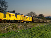 Timber freight train under threat as 'geese need peace'