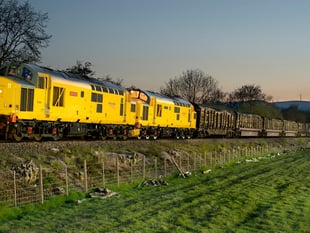 Timber freight train under threat as 'geese need peace'