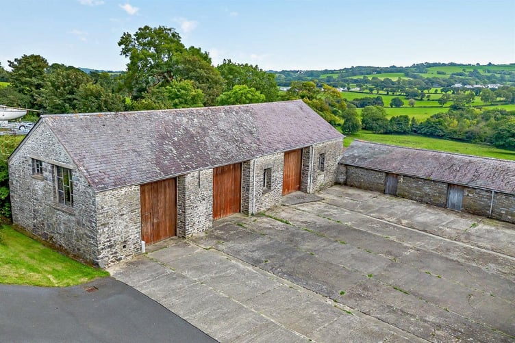 llanarth dairy
