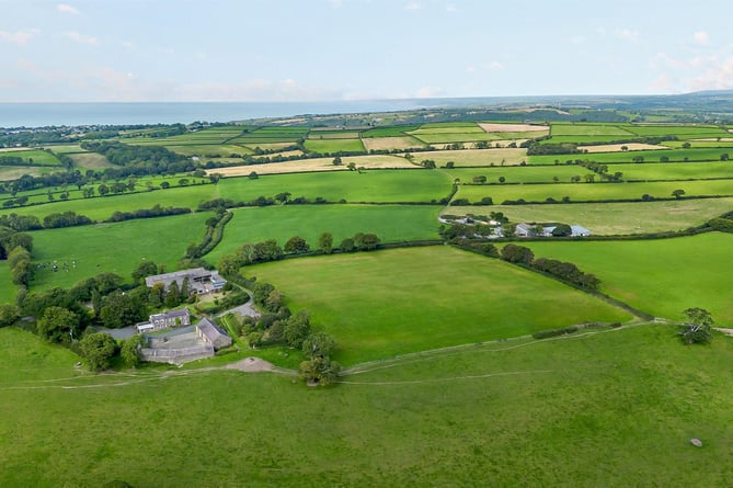 llanarth dairy