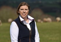Welsh lamb on its way to Japan after new export deal signed
