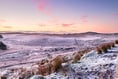As temperatures drop the RSPCA is urging people to look after animals