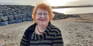 Hywel Dda Health Board appoints new vice chair