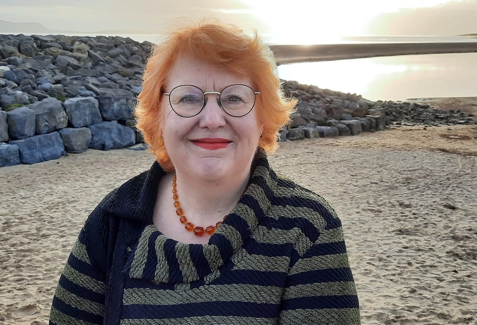 Hywel Dda Health Board appoint new Vice Chair
