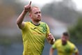 JD Cymru Leagues: November's player and manager of the month shortlist