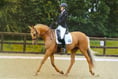 Dressage rider Amy and Perdy ‘honoured’ to represent Wales