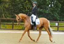 Dressage rider Amy and Perdy ‘honoured’ to represent Wales